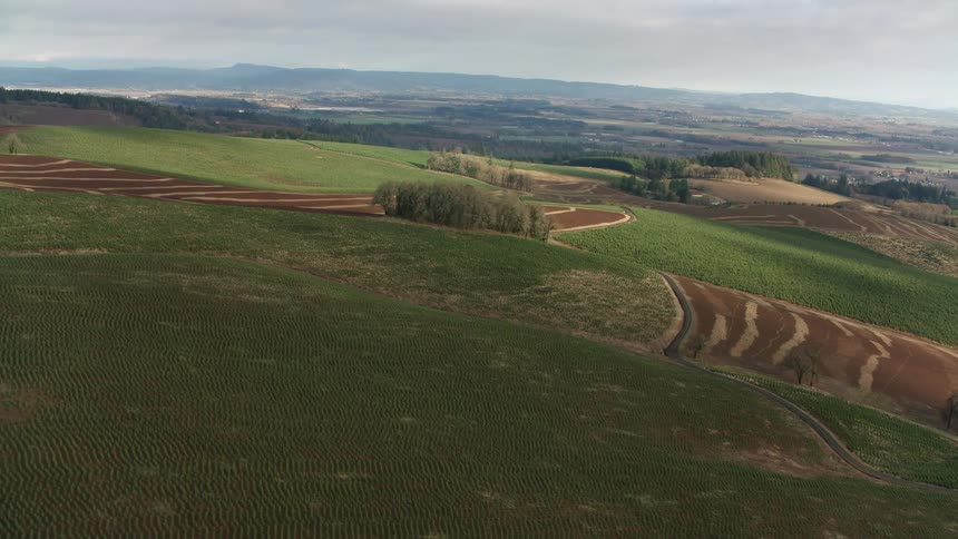 An aerial view of a region with grass fields with some small forest trees