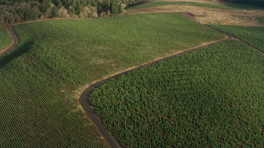 An aerial shot of some farmland with a rural road running through the fields