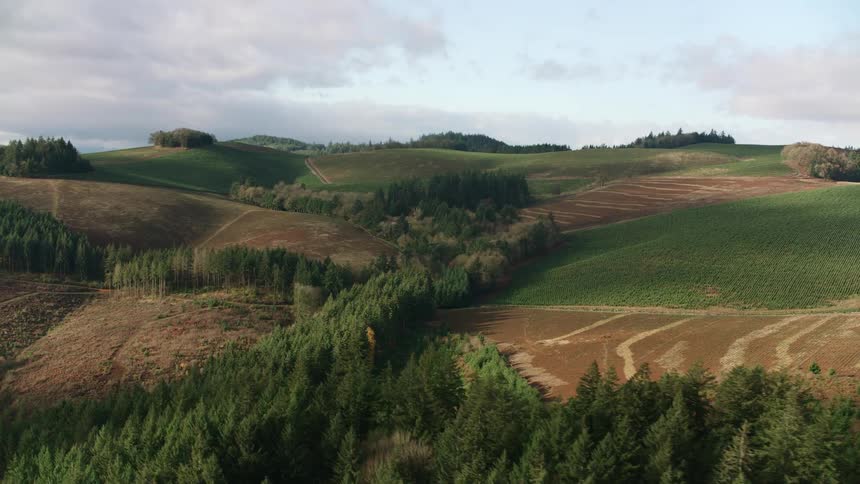 The landscape is covered with green