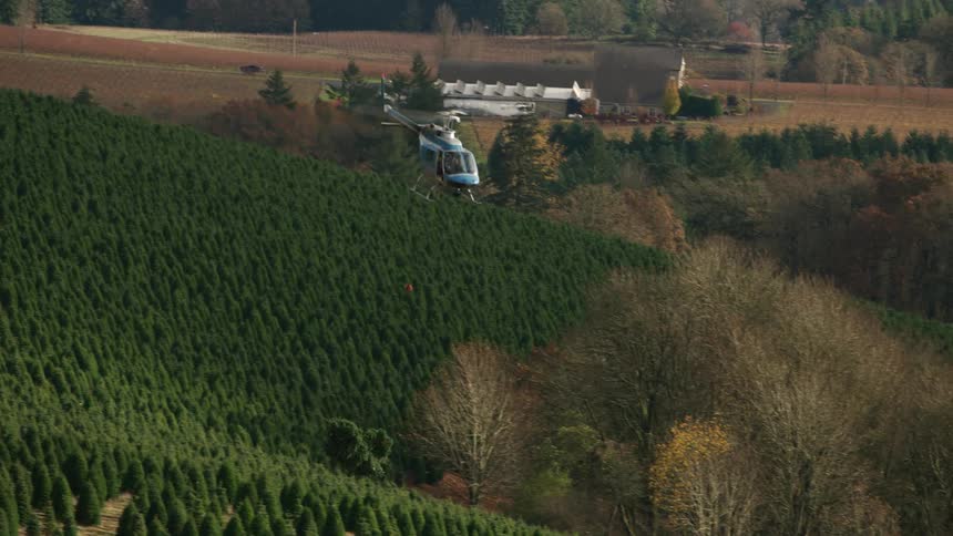 Helicopter flies over a tree plantation towards a truck