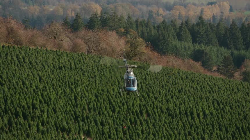 A helicopter lifts an object from the forest with a hanging cable