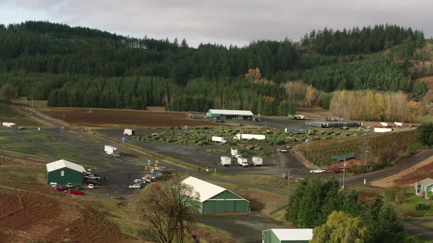 An aerial view of a large agricultural area with rows of plants various structures and vehicles showcasing a wellorganized farming operation
