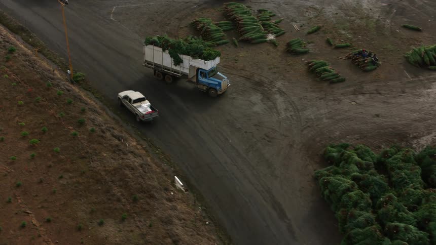 A truck is transporting crops on the farm