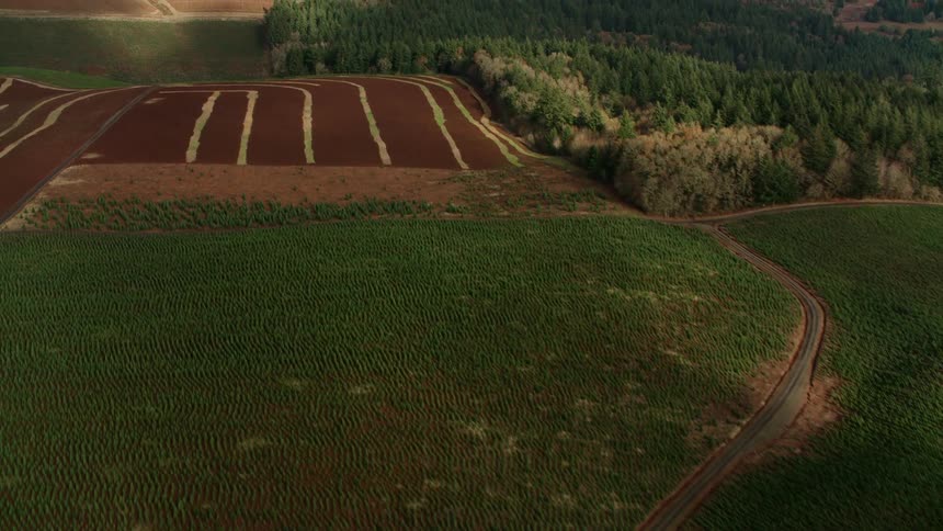 Aerial panorama of agricultural fields on hills