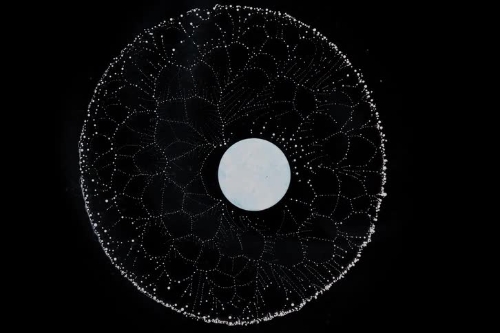 Extreme closet in a liquid bubble bursting and forming patterns against a dark background
