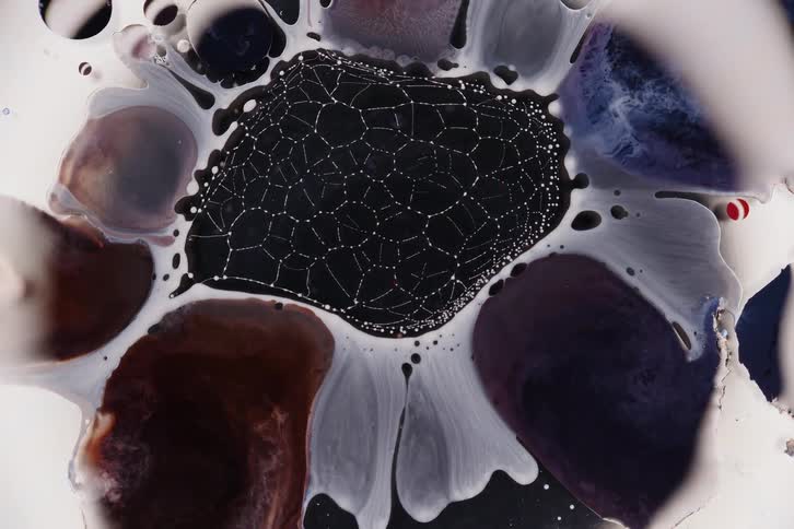 Organic pattern formed by liquid bubbles and a weblike structure in the center with contrasting colors around it