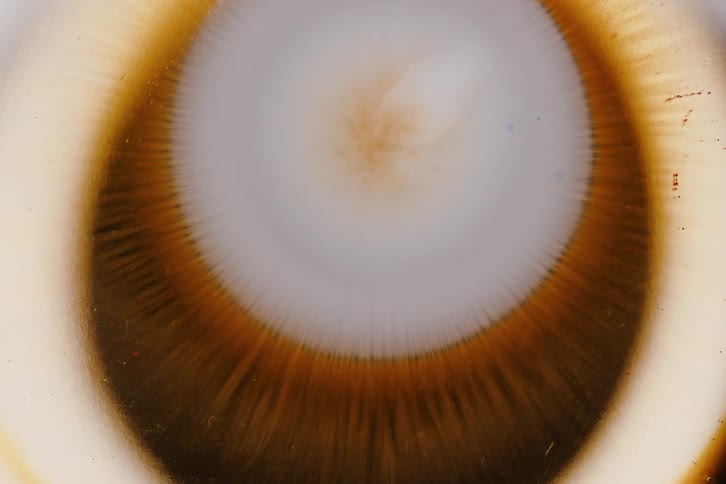 Extreme close up on an expanding abstract organic matter