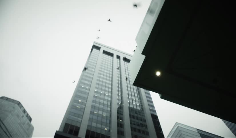 Group of birds flying together in a metropolis