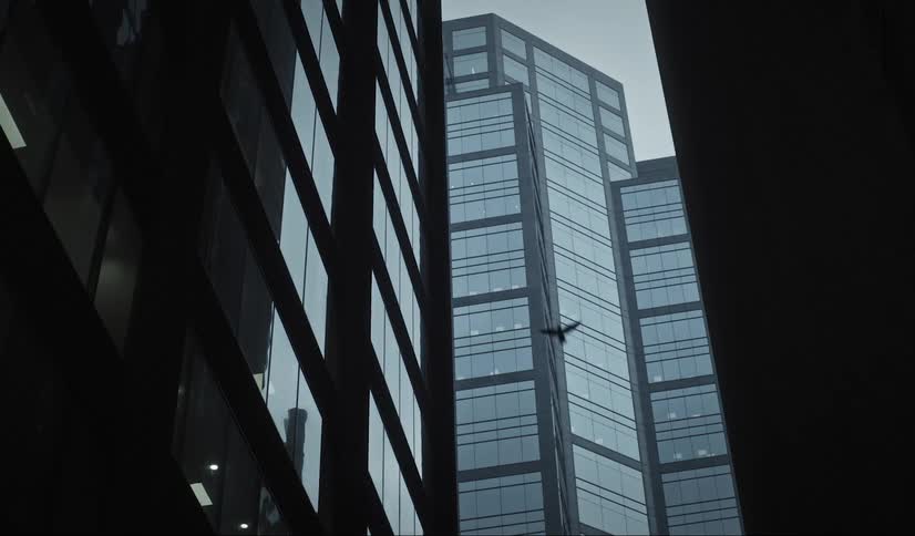 Birds flying between buildings in a metropolis