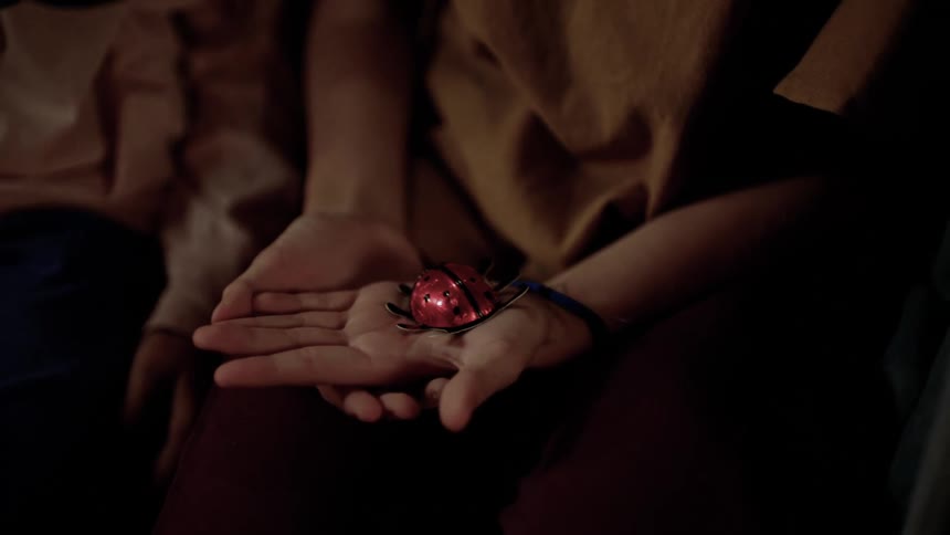 Pair of hands holding a toy