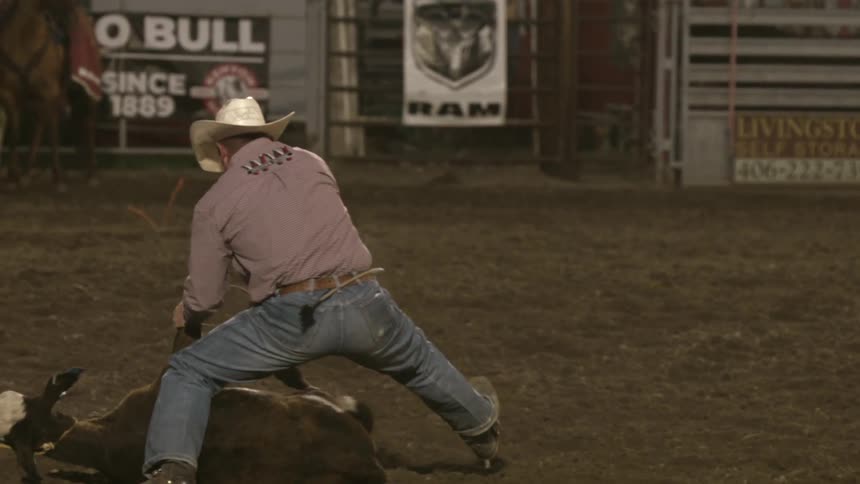 Cowboy at a rodeo show overpowering a steer and throwing it to the ground