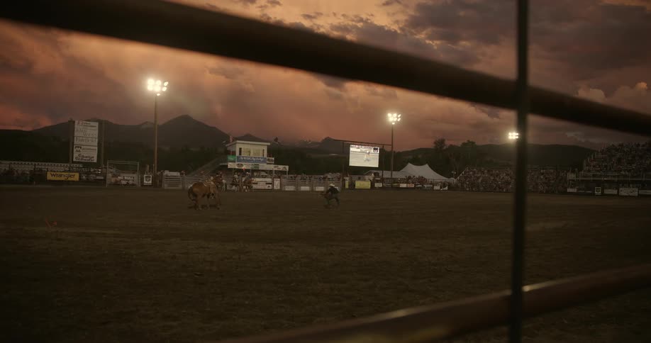 Crowd of people watching a rodeo show