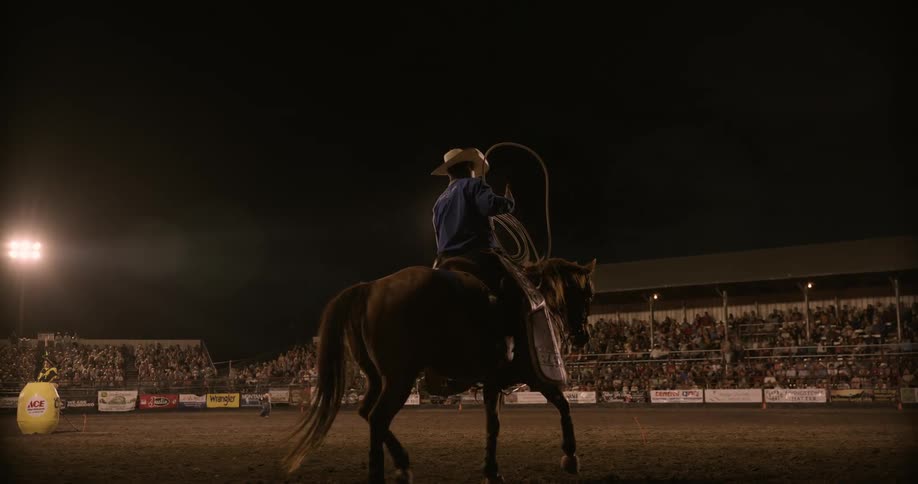 Cowboy with a rope riding a horse at a rodeo show