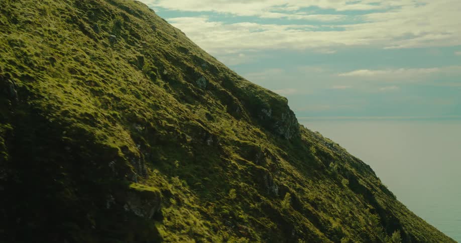 A steep mosscovered mountainside is being shown via aerial view from bottom to top