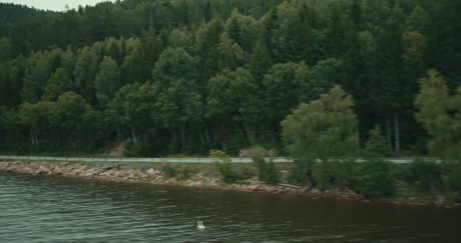 Person on a motorcycle traveling along the edge of a forest and a lake
