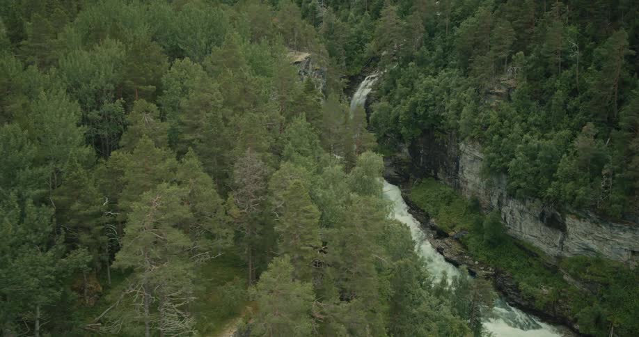 Aerial view of a river flowing through forest waterfalls