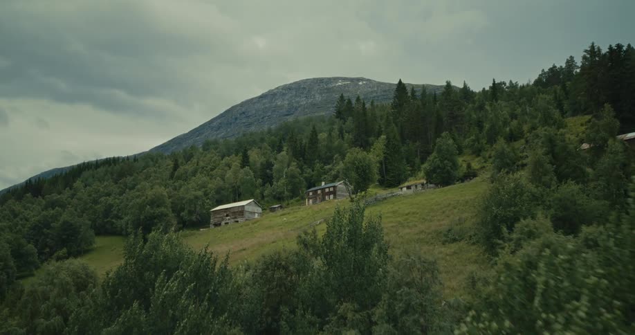 Aerial of rural housing built on a forested hillside on a cloudy summer day