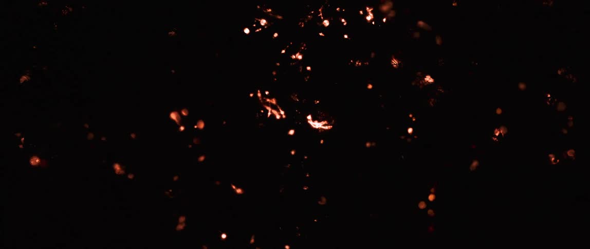 Flame sparks arc along tendrils in the darkness