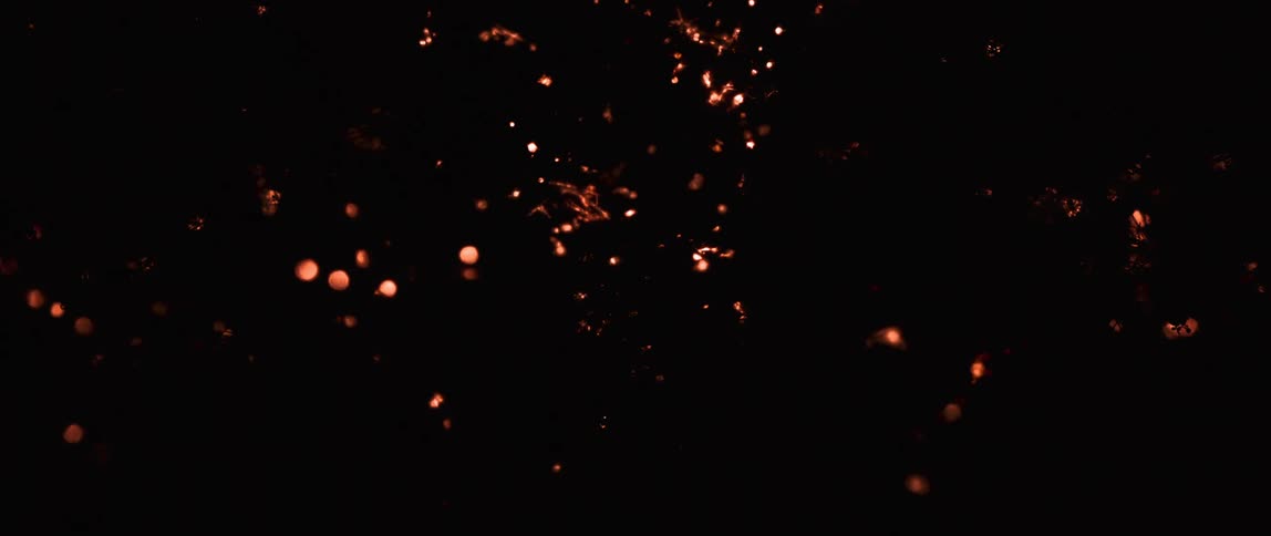 Abstract fire burning dark roots