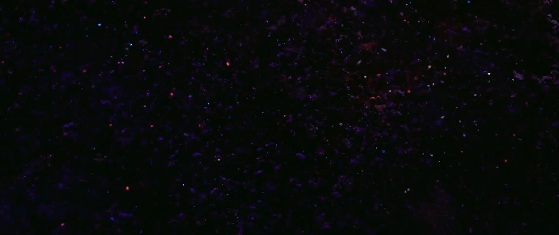 Tiny colorful particles float against a dark background