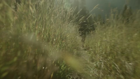 Mission Ranch Studios featured clip
