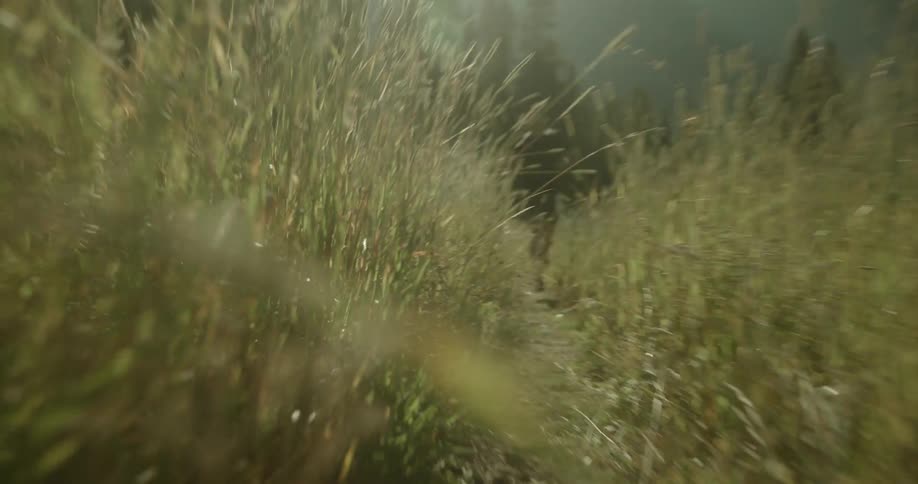 Captured from a near ground perspective a male runner suddenly bursts into view on a grassy path running in the opposite direction through a wide grassy field with mountains visible in the distance