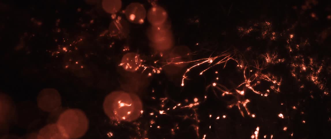 Abstract close up of fire burning roots