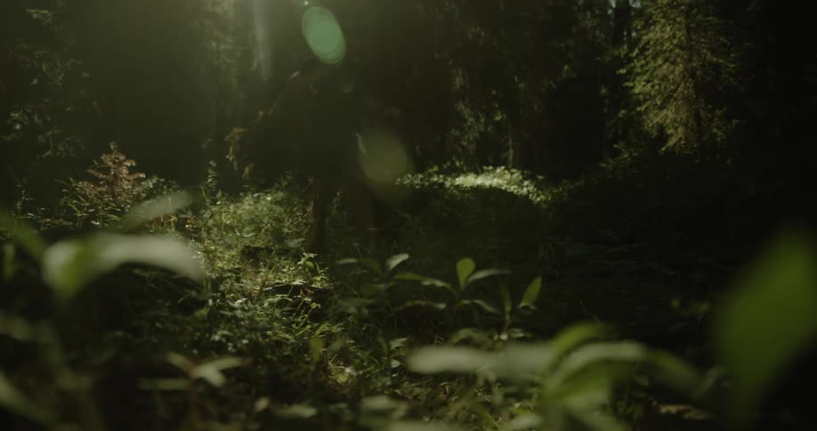A person runs through the dark forest