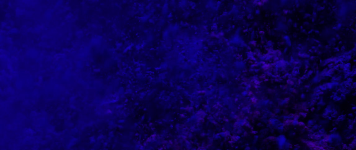Grainy texture in vibrant shades of purple and violet creates a dynamic abstract effect