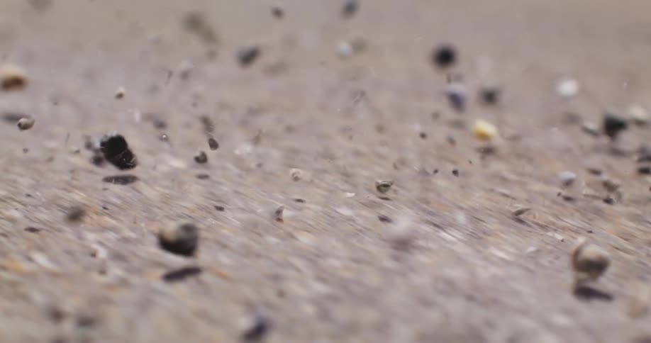 Person scatters gravel across a path during the daytime