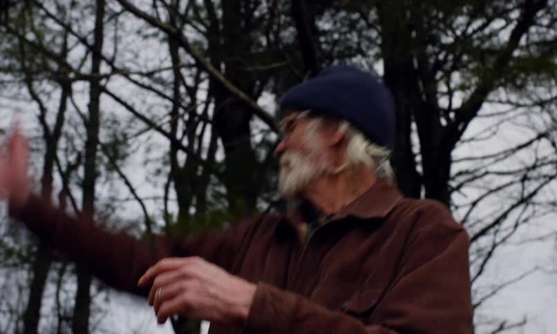 Grandfather and his grandchildren play with bubbles near a grove of trees during the day