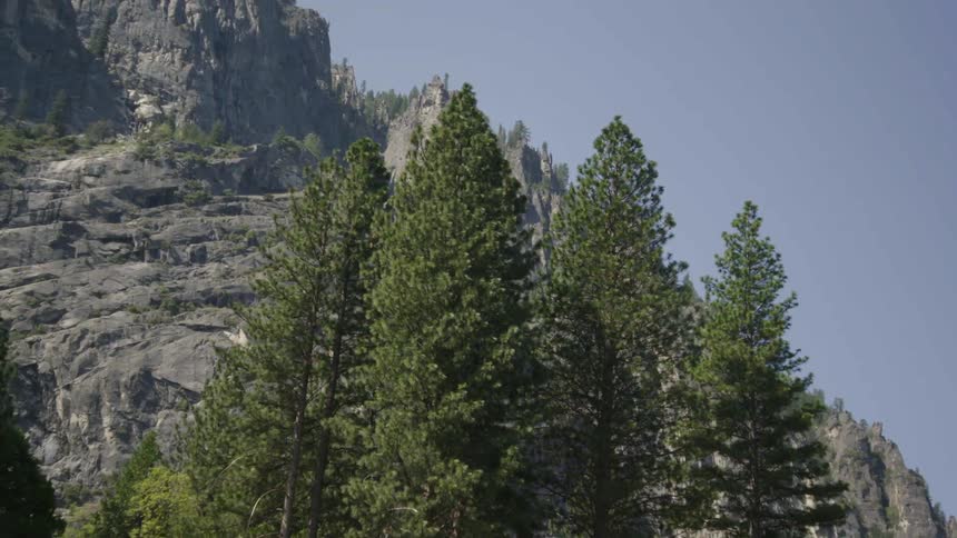 Trees and mountains on a clear sunny day