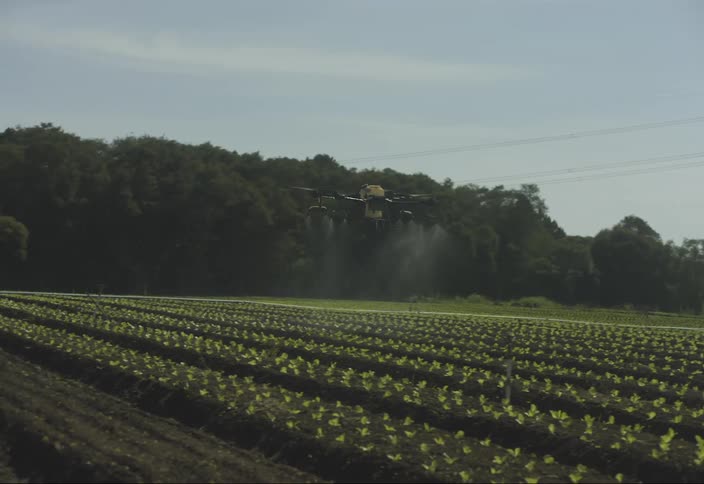 Drone flying over an agricultural area and spraying