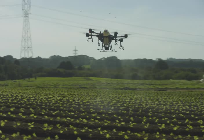 Agricultural drone sprays a green crop in a rural area with houses and trucks in the background