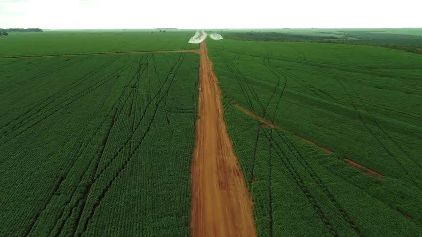 Two yellow agricultural planes fly over a green plantation spraying products on the crops