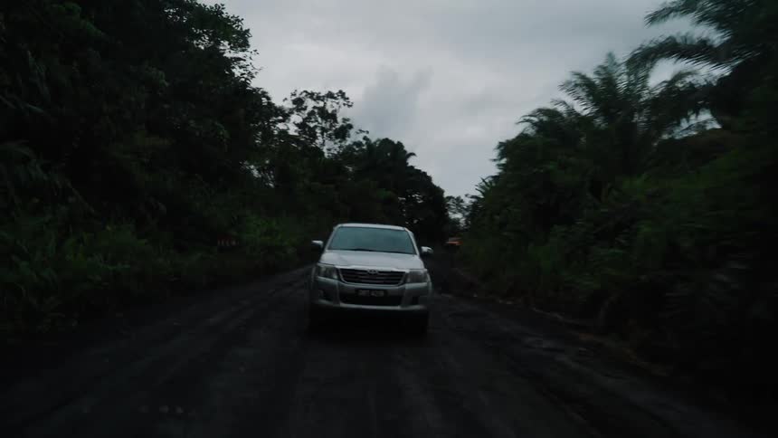 A gray car driving on a dark dirt road with vegetation on the sides