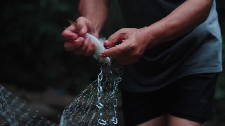 A fisherman carefully removes a small fish caught in the mesh of a fishing net on a river