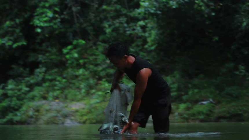 A person wearing a sleeveless black shirt and black shorts is bringing a fishing net with several fish caught in it out of a river standing in a lush green forest