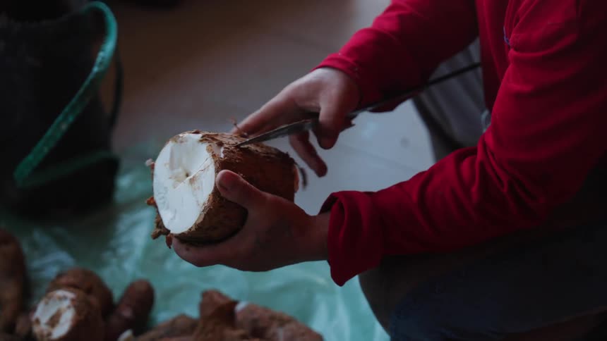 Using a large blade a person is captured in the act of skillfully peeling and slicing a root vegetable potentially cassava or yam during food preparation highlighting the manual process with a focus on the blade and vegetable