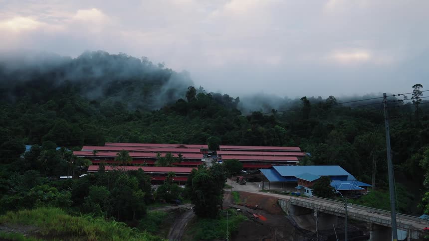 Landscape of an agricultural area with a forested mountain in the background