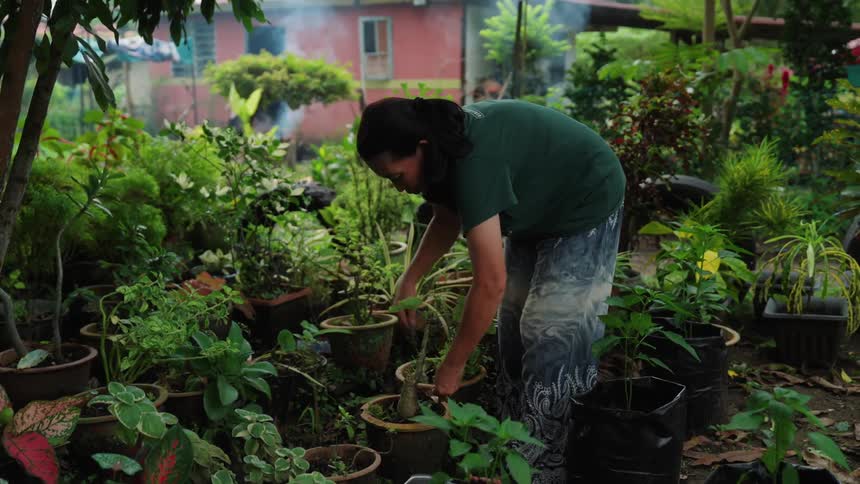 A woman spreads dirt in a planter pot in a large garden area in a neighborhood