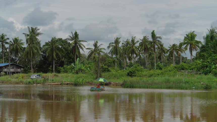 A small boat with a green umbrella floats on a calm browntinted pond framed by palm trees and lush vegetation under a cloudy sky