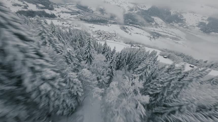 Aerial view of conifers in snowy mountains