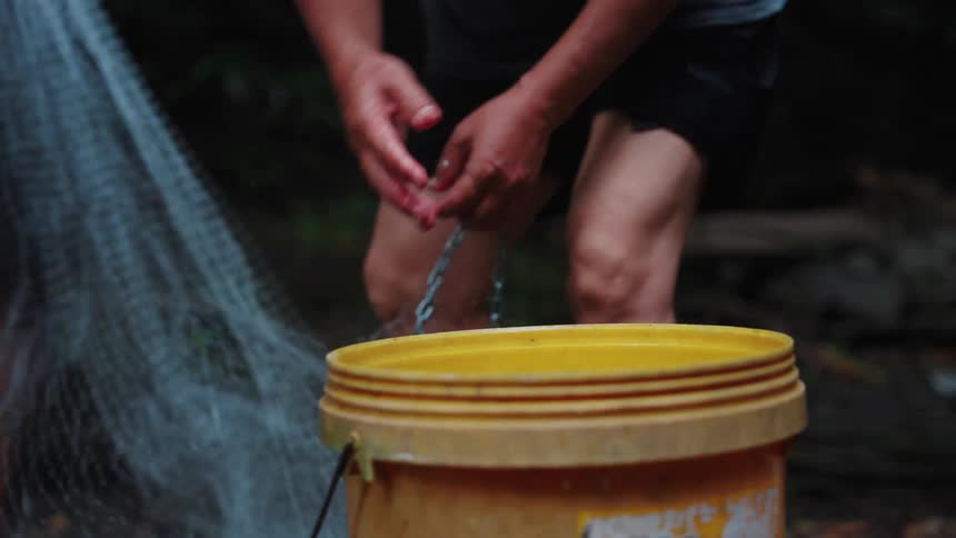 A person untangles a single small fish from a fishing net and carefully places it into a yellow bucket