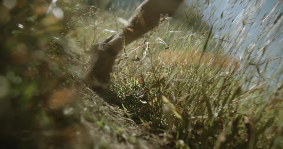 Feet of a man running on a trail with tall grass