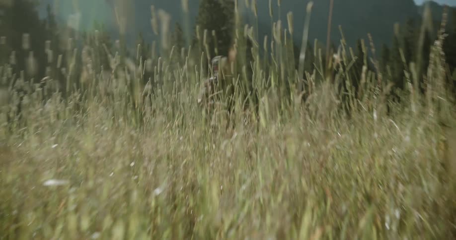 A footage of a person running in the bush