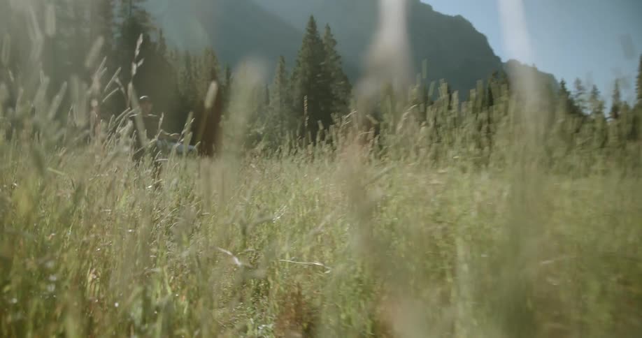 Man runs along a path passing through a field of tall grass near a mountain and a forest