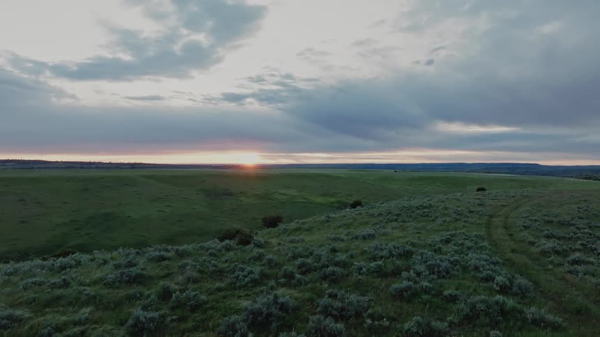 Aerial view of a green field on a cloudy dawn