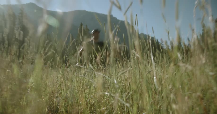 Man runs through the tall grasses in a field bordering the conifer forest near a mountain on a sunny day