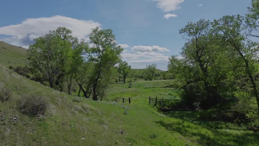 A lush green meadow with scattered trees flanked by grassy hills under a partly cloudy sky ending at a rustic wooden fence